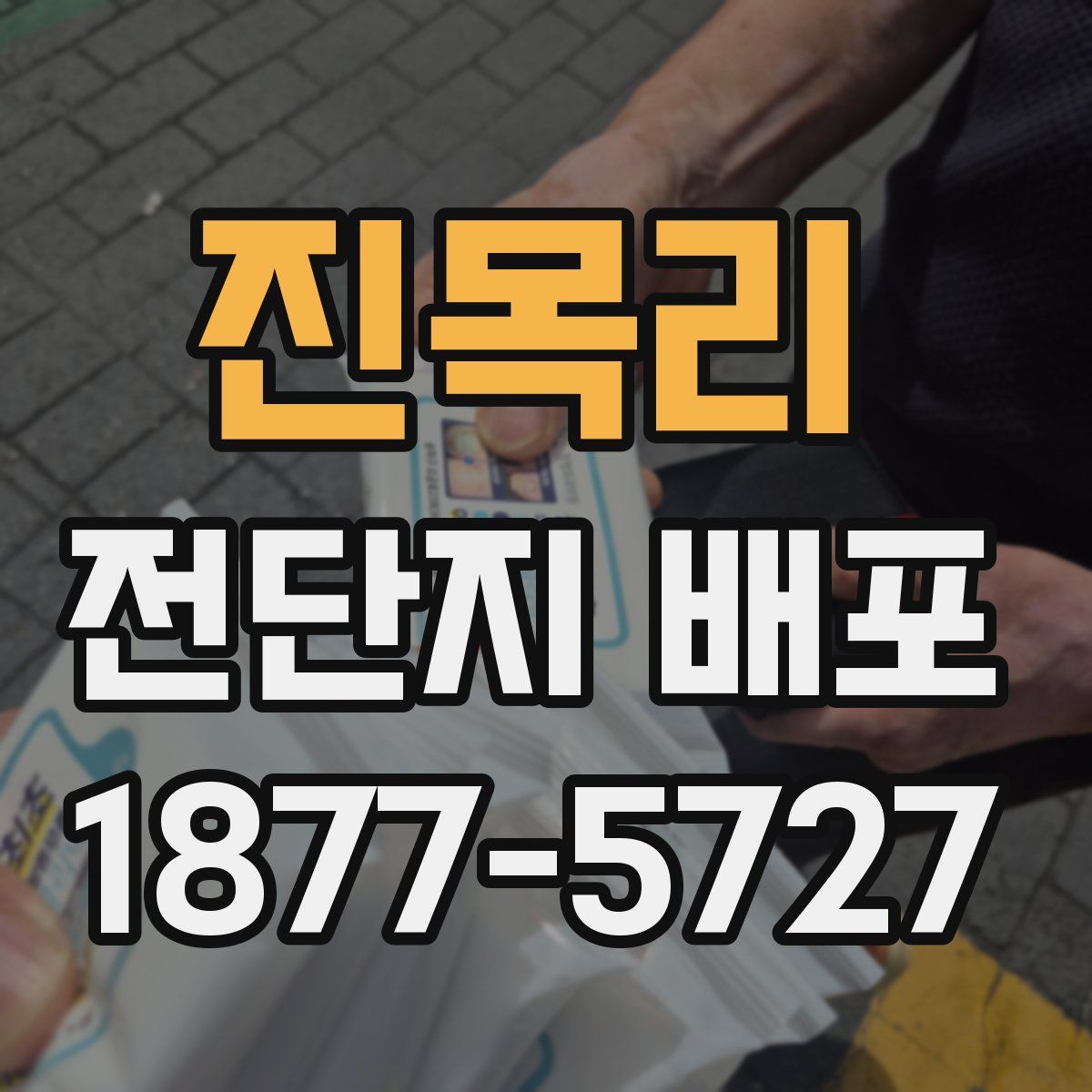 진목리 전단지 배포