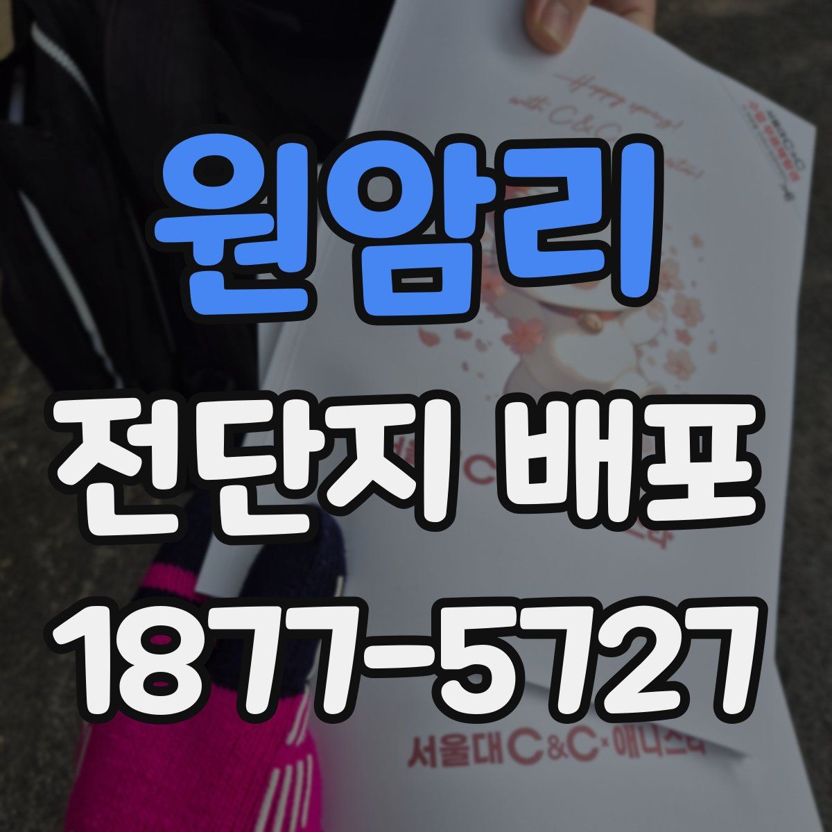원암리 전단지 배포