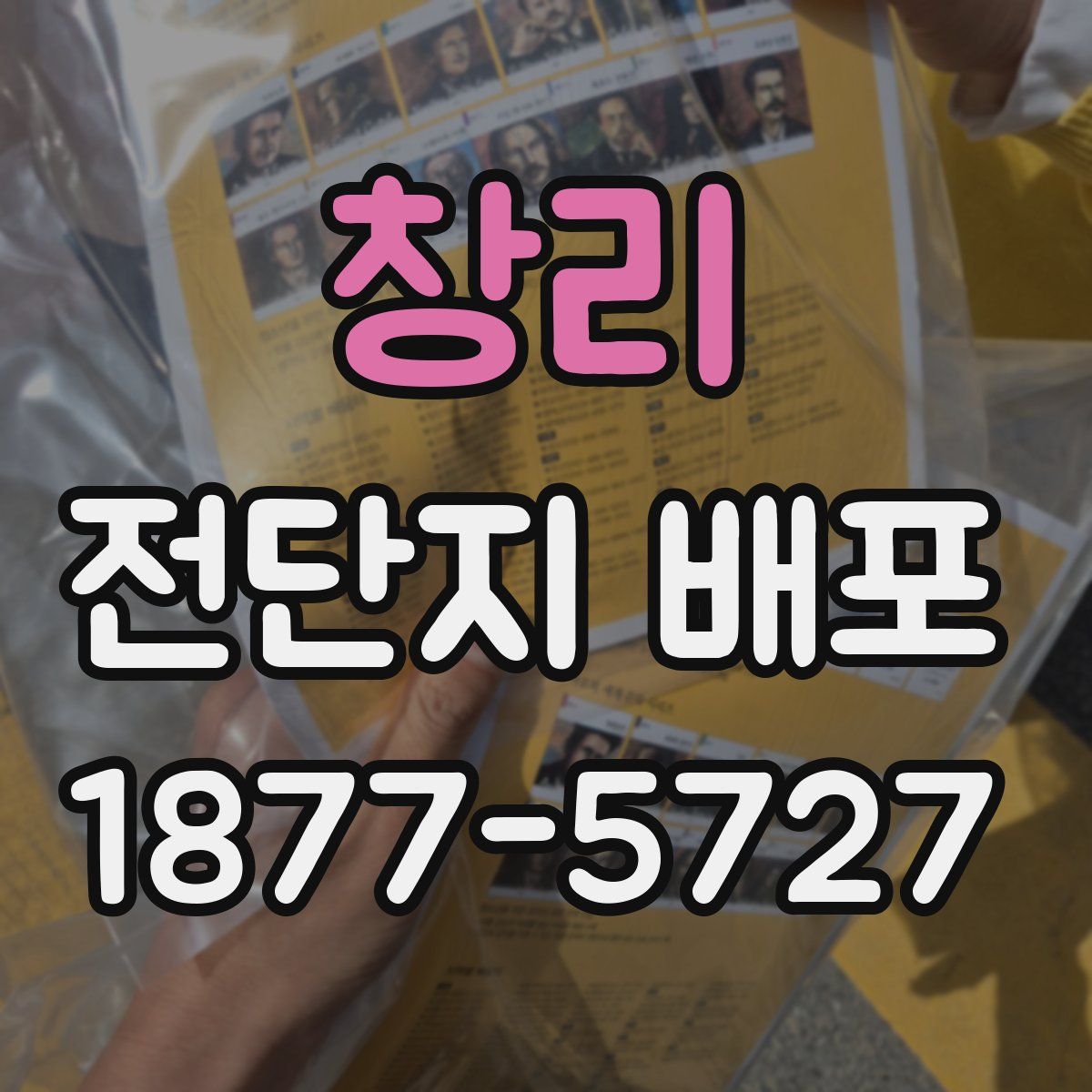 창리 전단지 배포