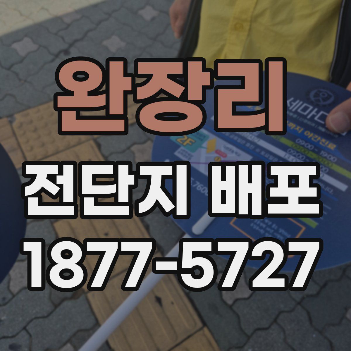 완장리 전단지 배포
