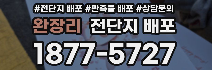 완장리 전단지 배포