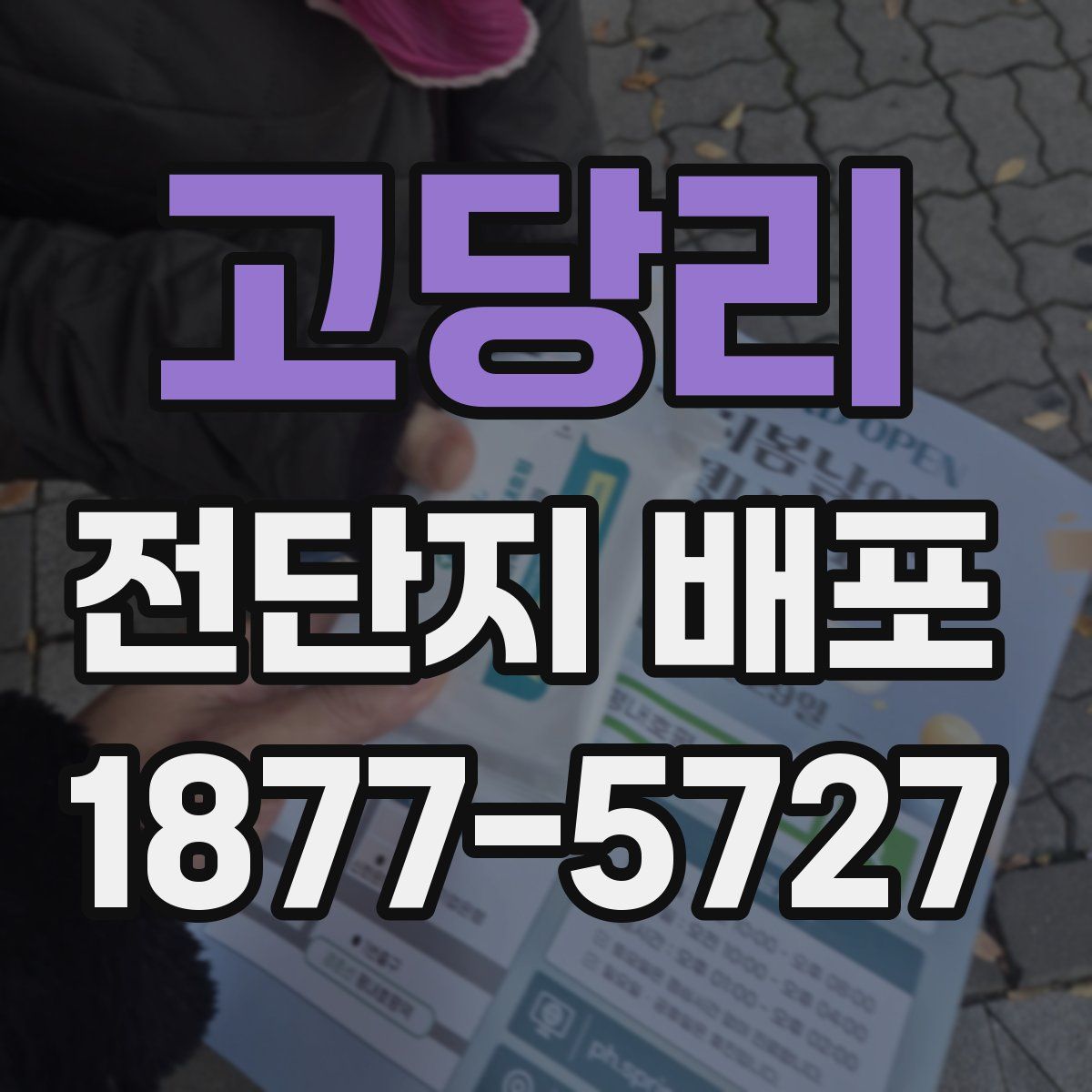 고당리 전단지 배포