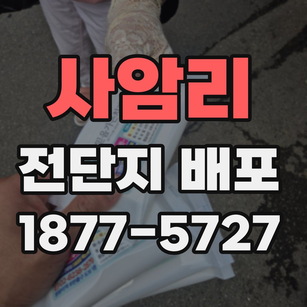 사암리 전단지 배포