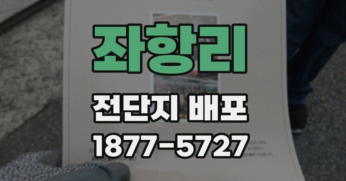 좌항리 전단지 배포