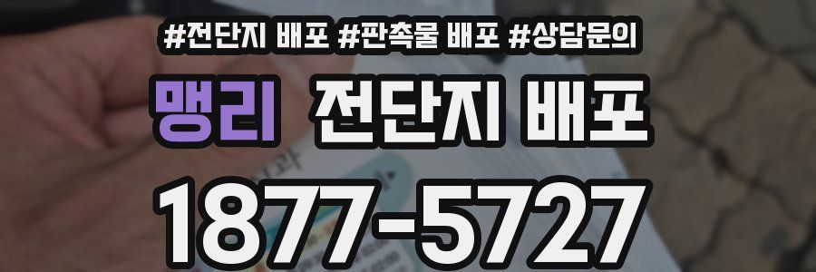 맹리 전단지 배포