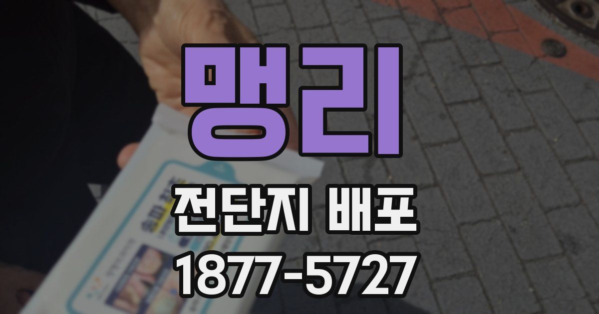 맹리 전단지 배포
