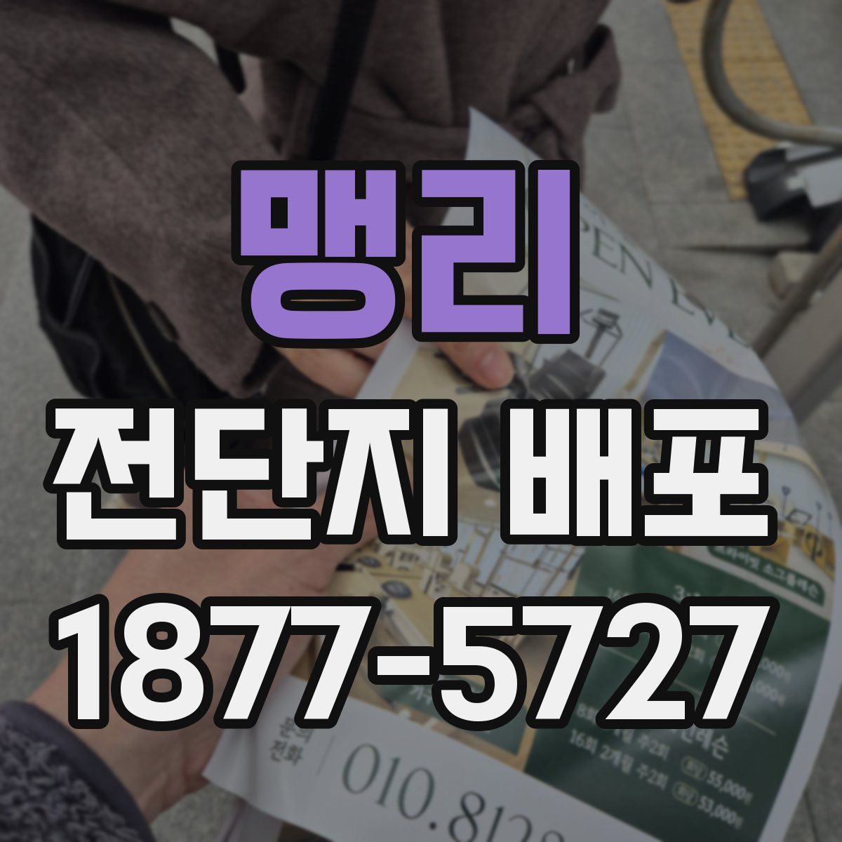 맹리 전단지 배포
