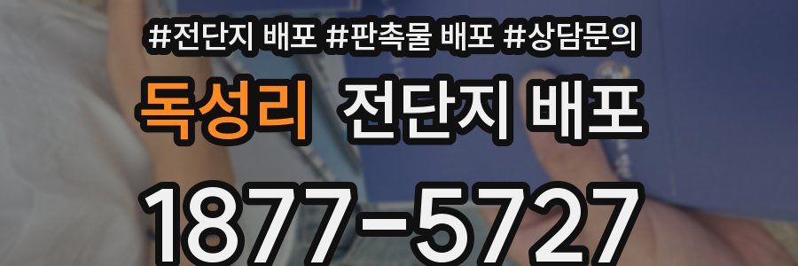 독성리 전단지 배포