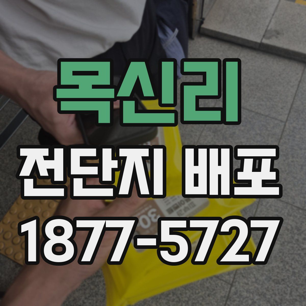 목신리 전단지 배포
