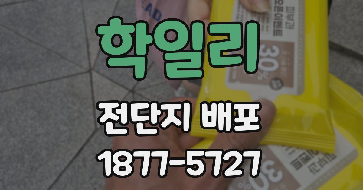 학일리 전단지 배포