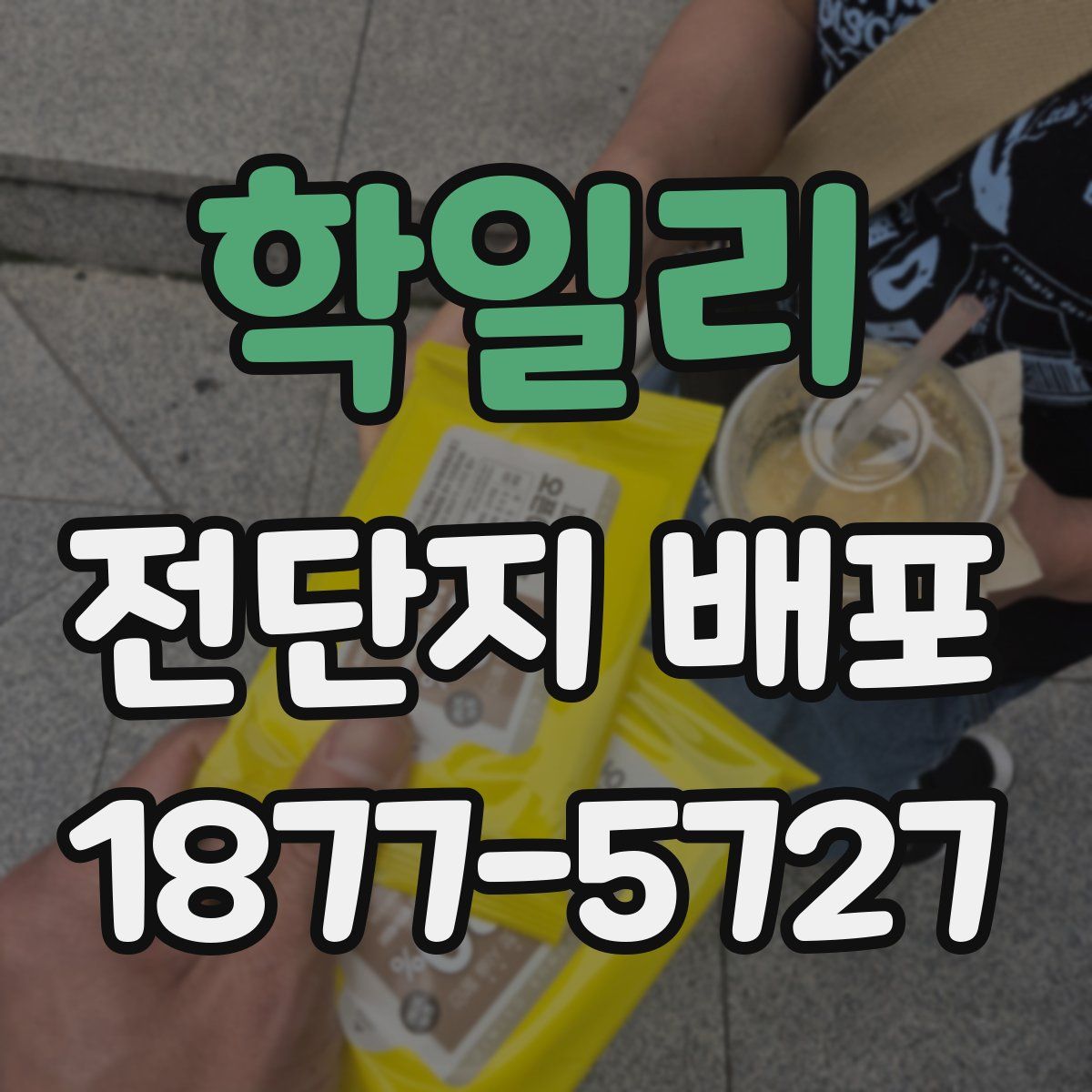 학일리 전단지 배포
