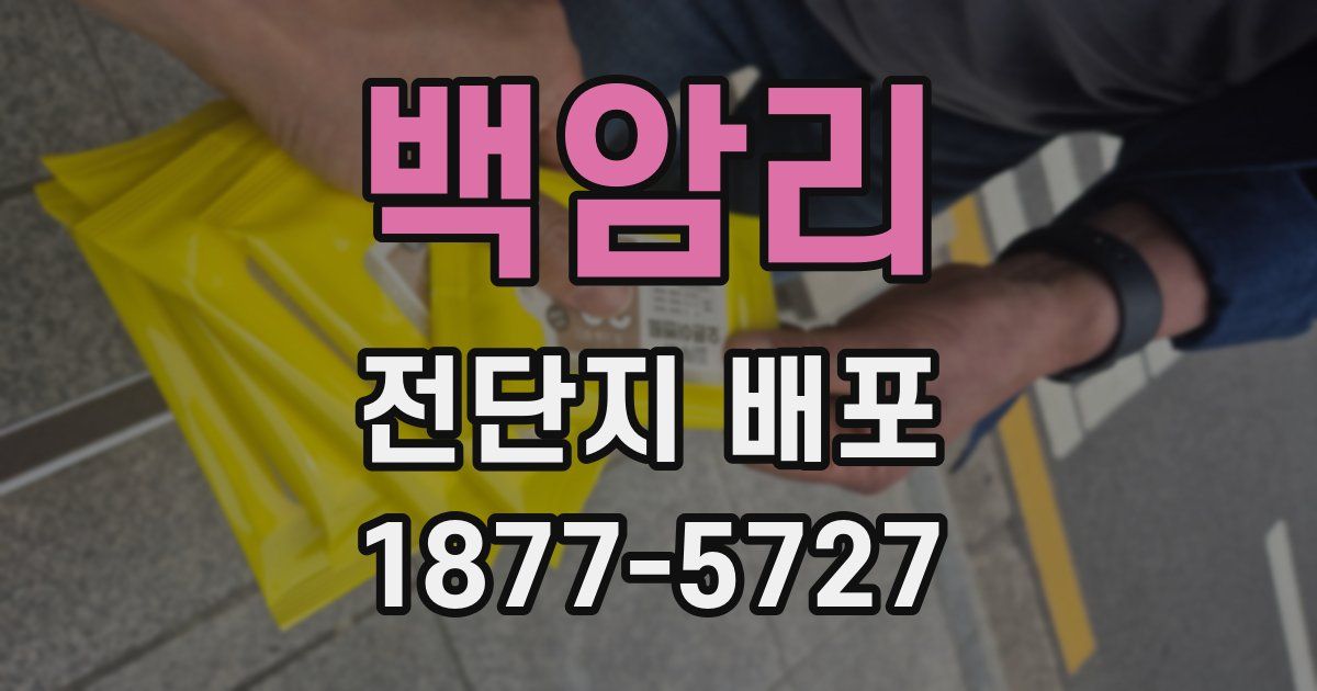 백암리 전단지 배포