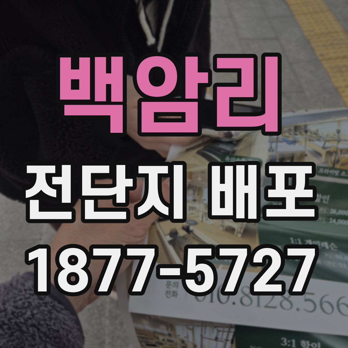 백암리 전단지 배포
