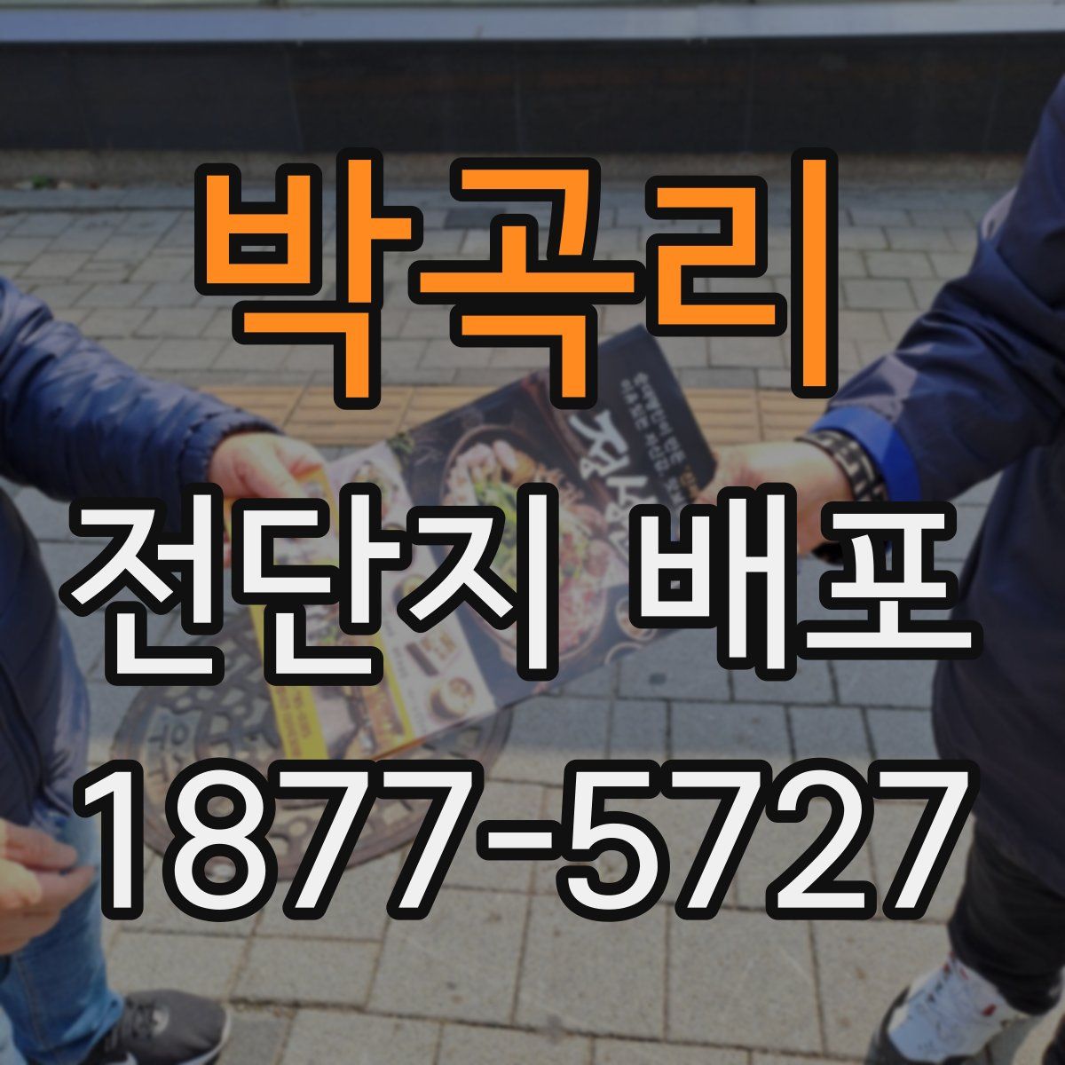 박곡리 전단지 배포