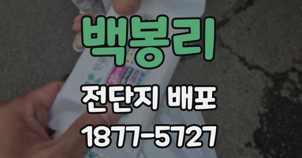 백봉리 전단지 배포