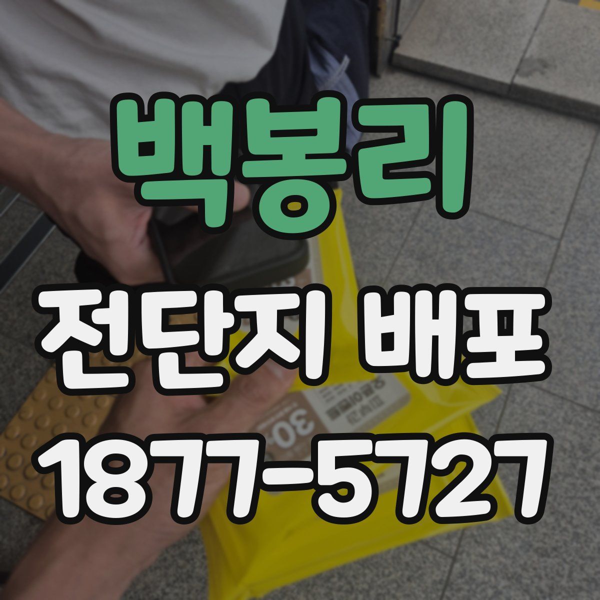백봉리 전단지 배포