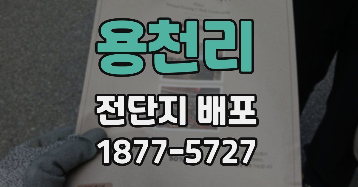 용천리 전단지 배포