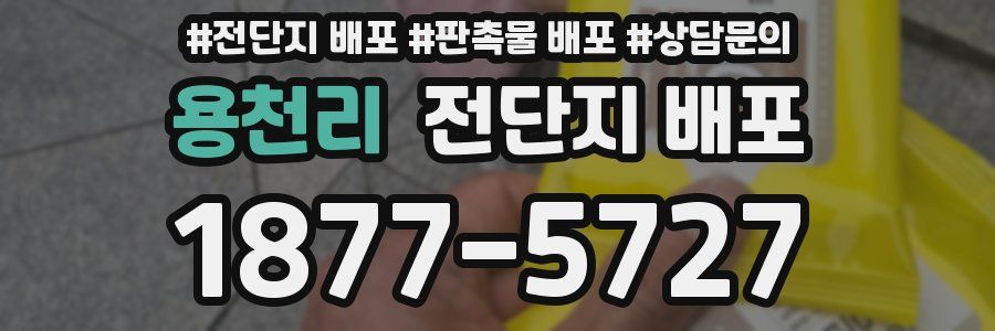 용천리 전단지 배포