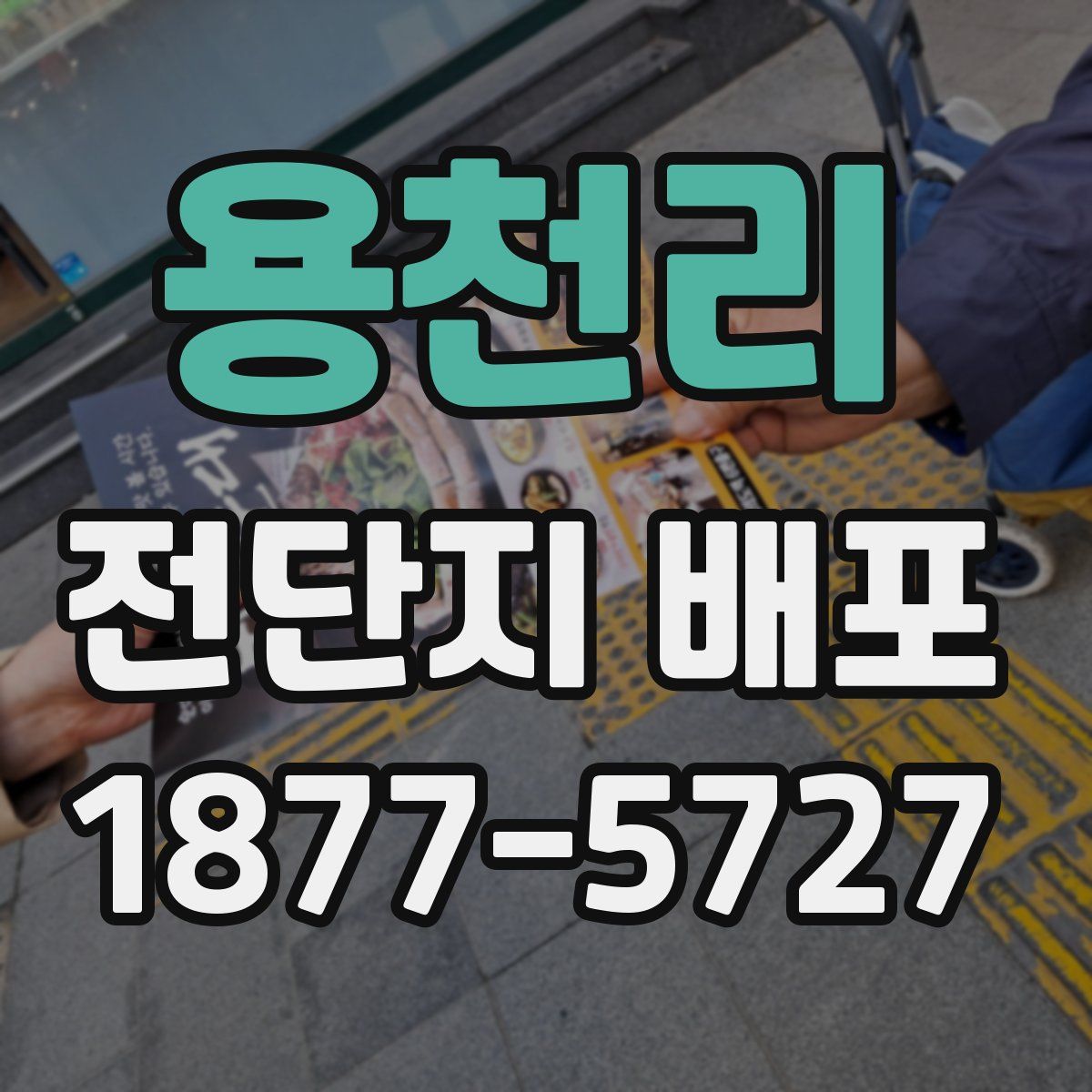 용천리 전단지 배포
