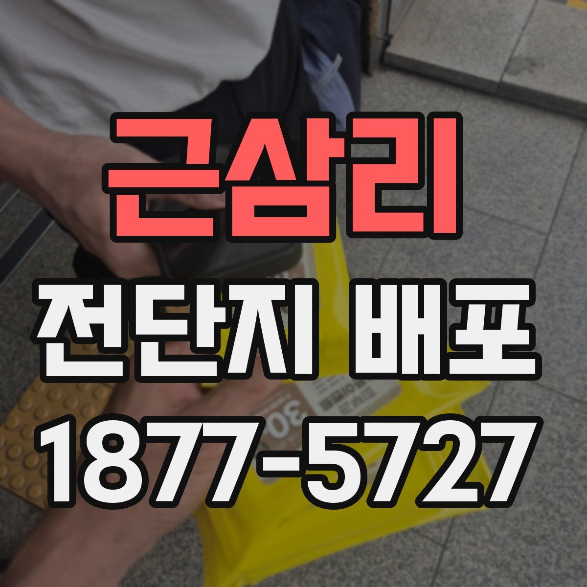 근삼리 전단지 배포