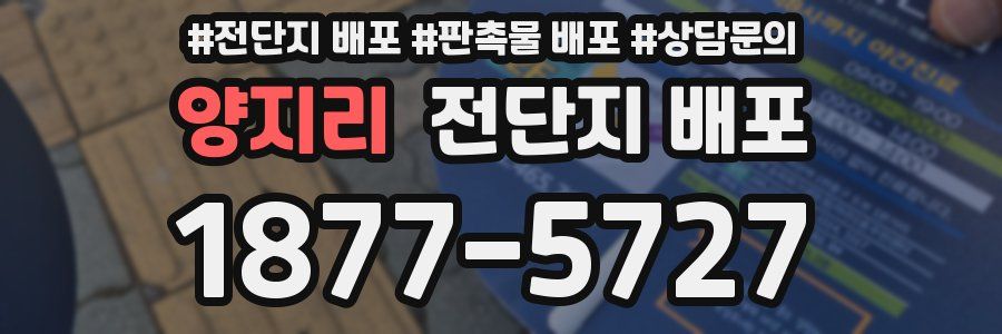 양지리 전단지 배포
