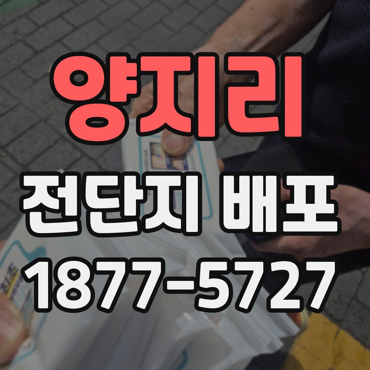 양지리 전단지 배포