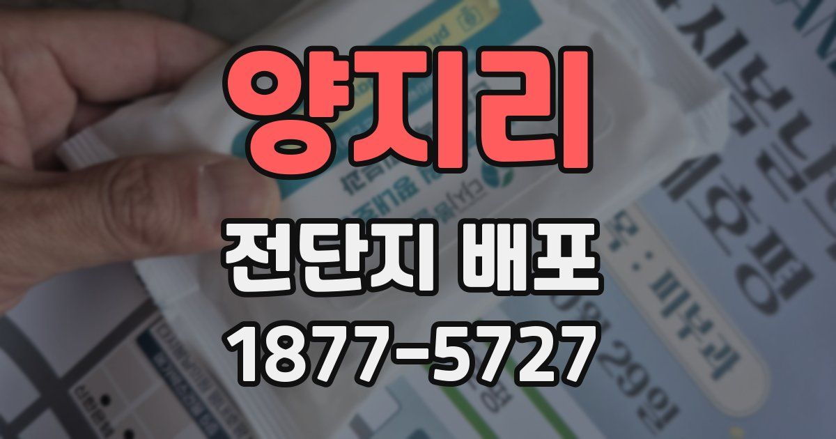 양지리 전단지 배포