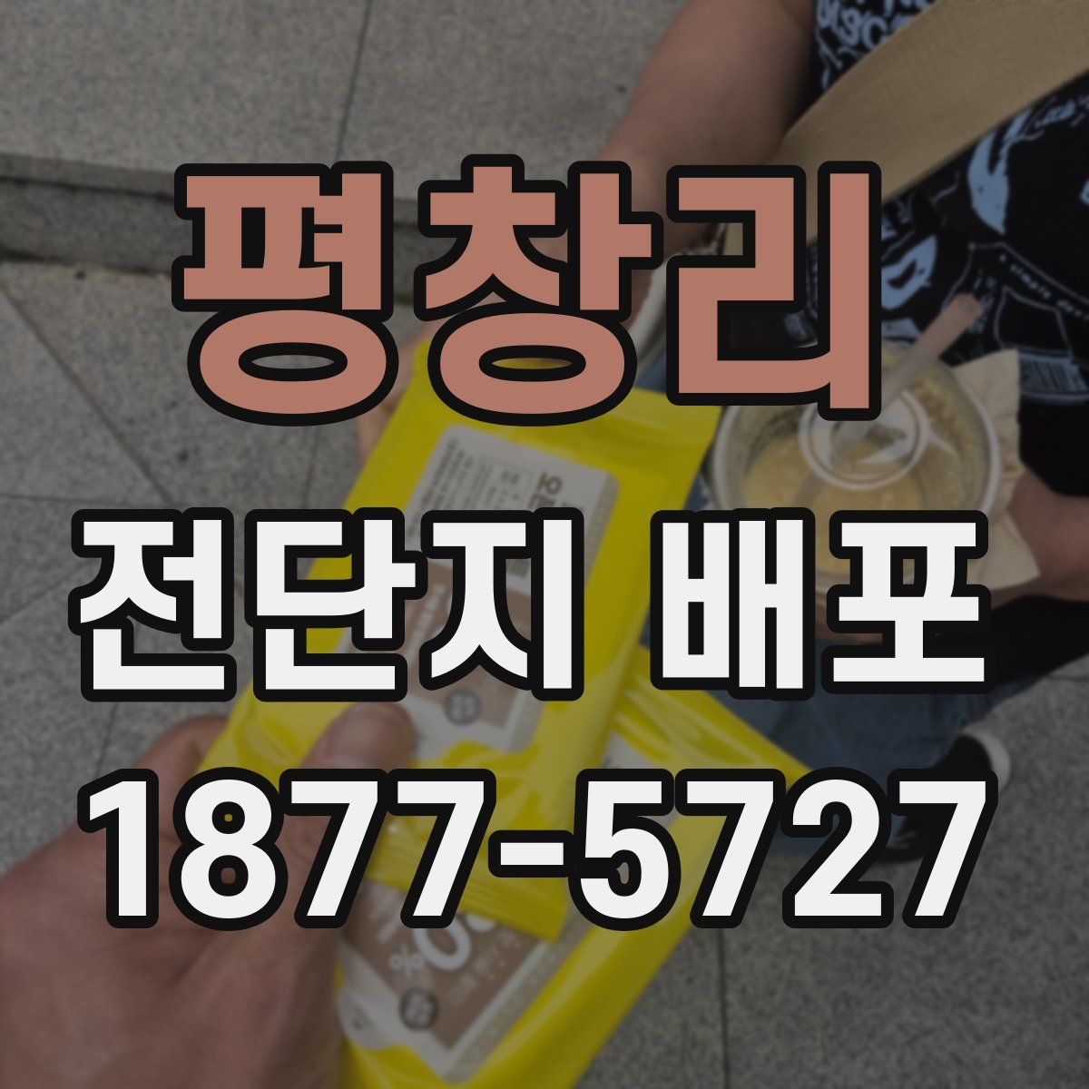평창리 전단지 배포