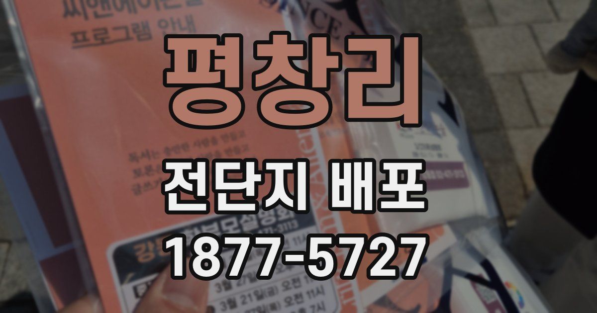 평창리 전단지 배포