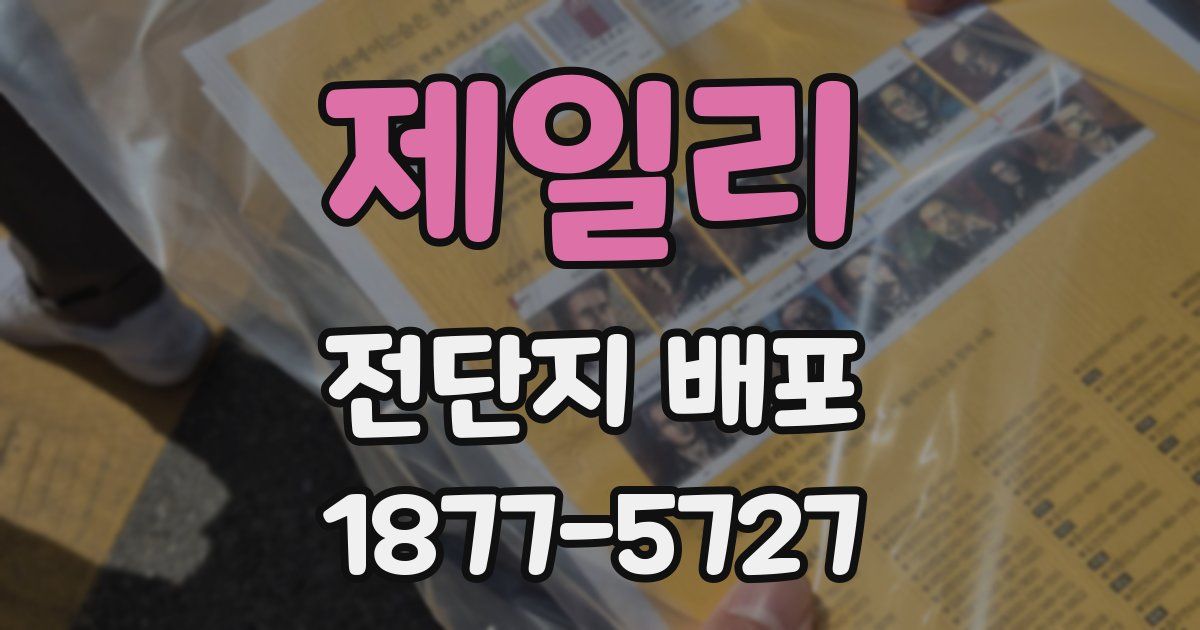 제일리 전단지 배포