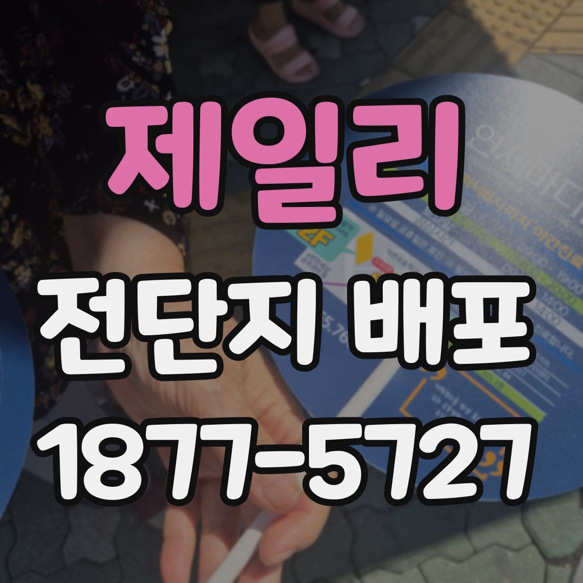 제일리 전단지 배포