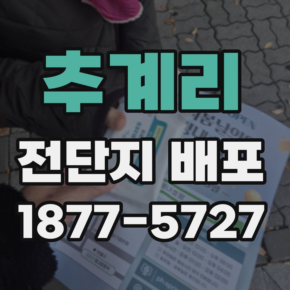 추계리 전단지 배포