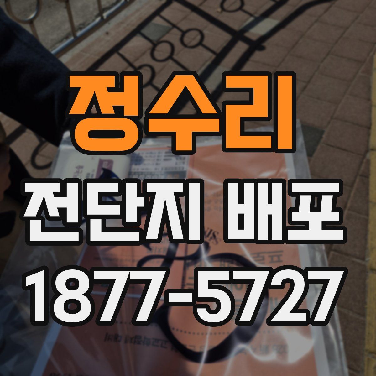 정수리 전단지 배포
