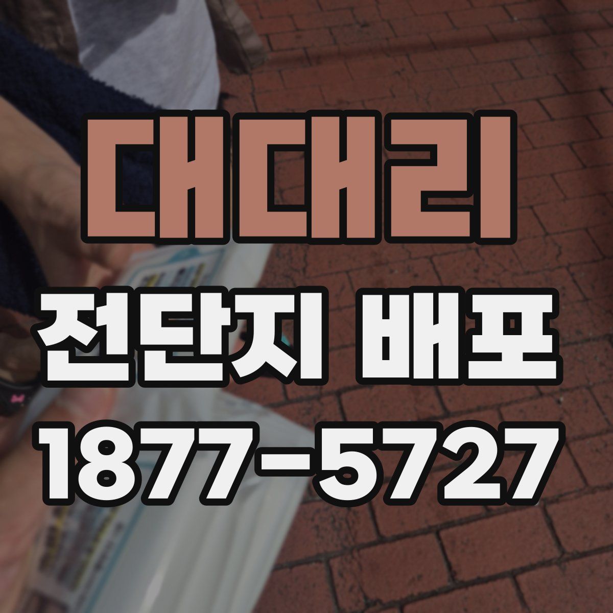 대대리 전단지 배포