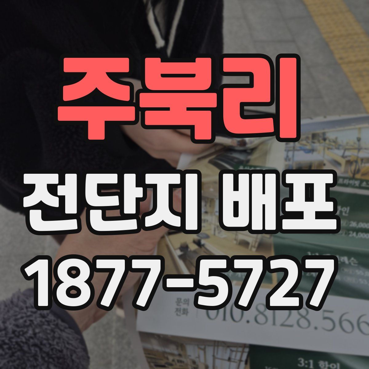 주북리 전단지 배포