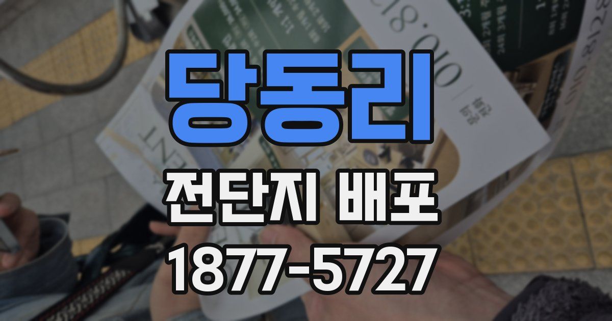 당동리 전단지 배포