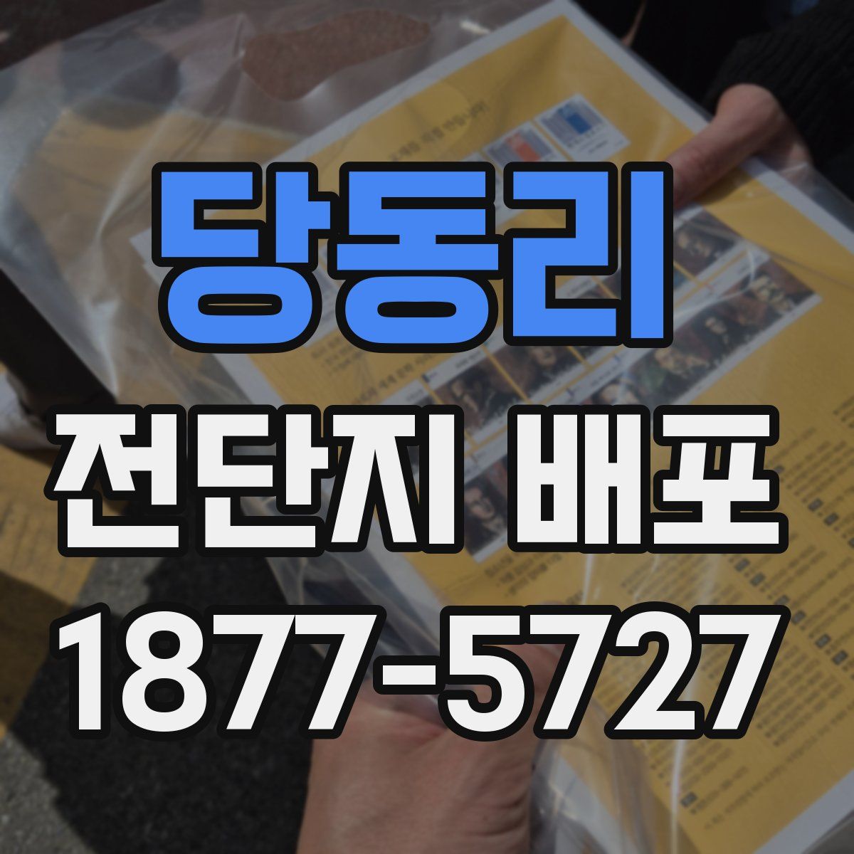 당동리 전단지 배포