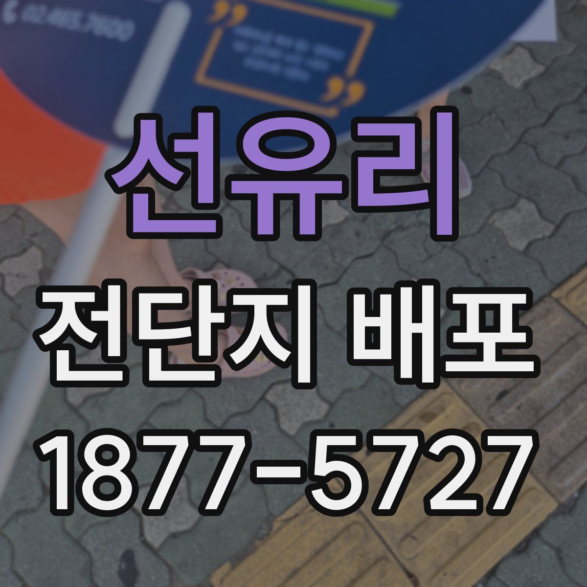 선유리 전단지 배포