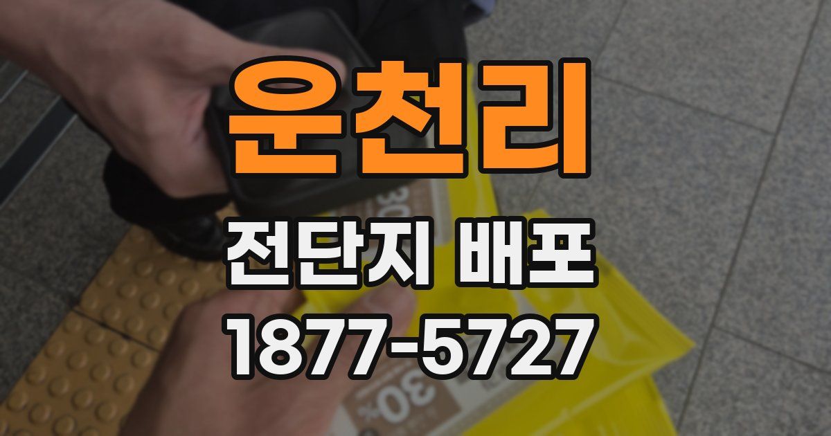 운천리 전단지 배포