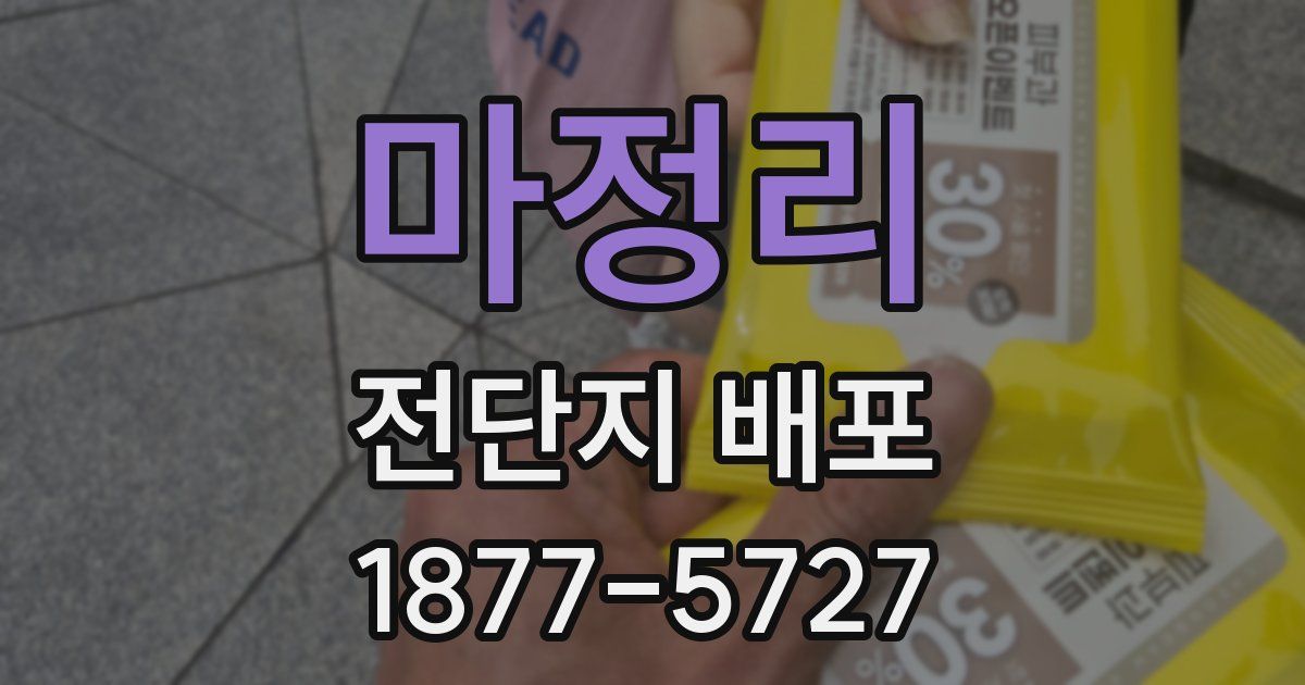 마정리 전단지 배포