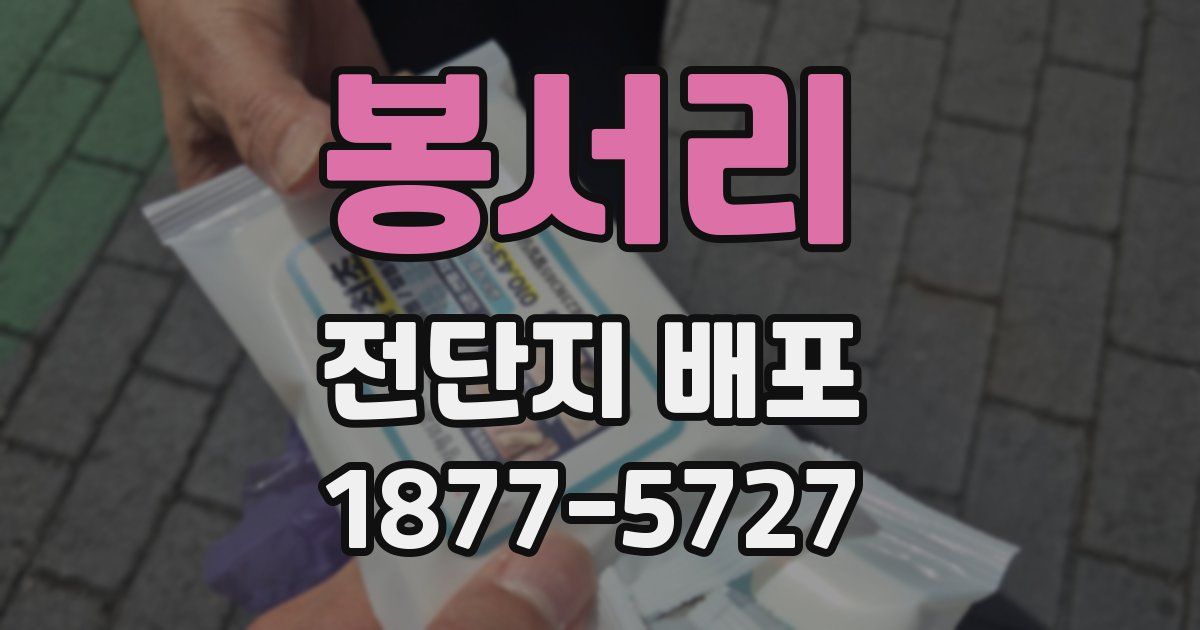 봉서리 전단지 배포