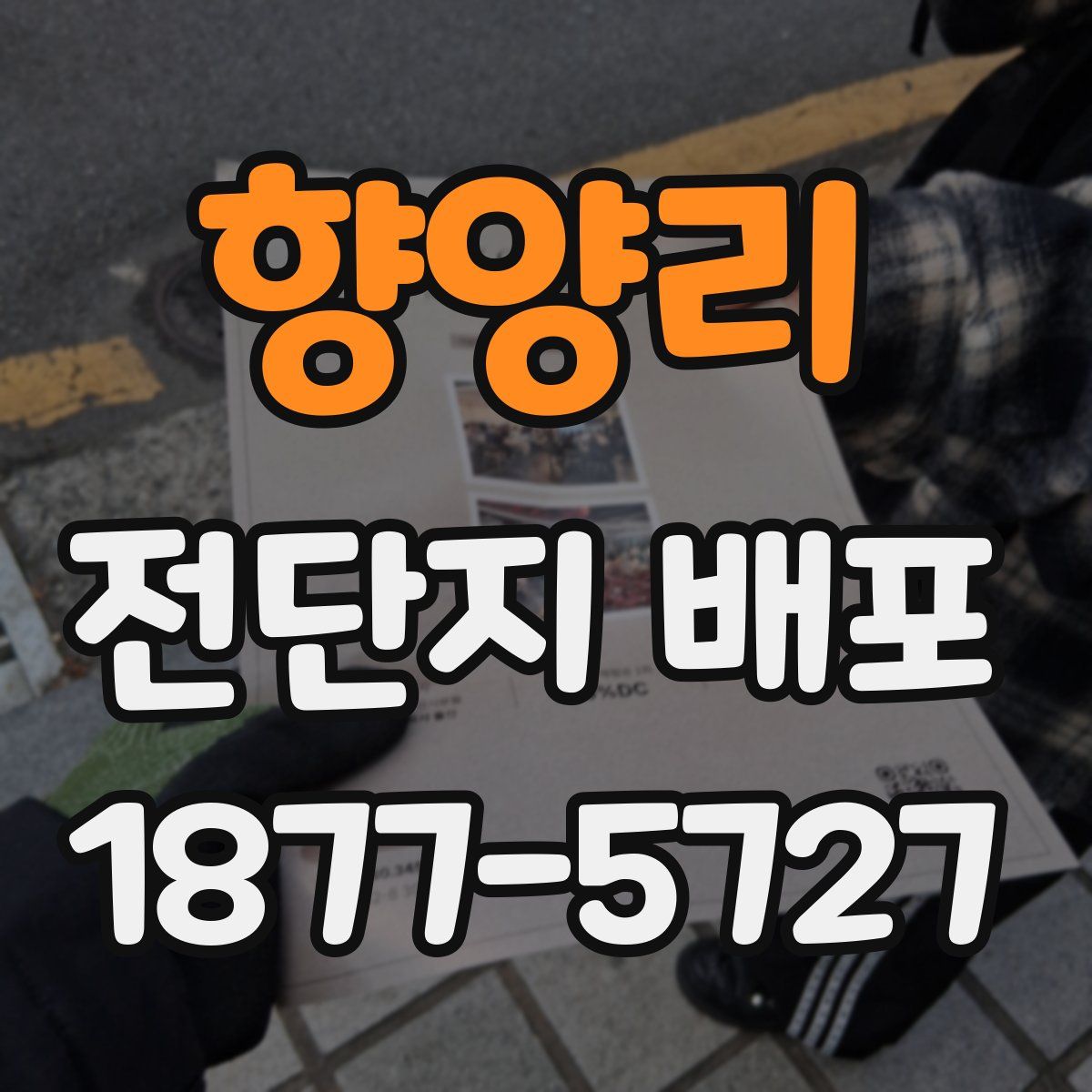 향양리 전단지 배포