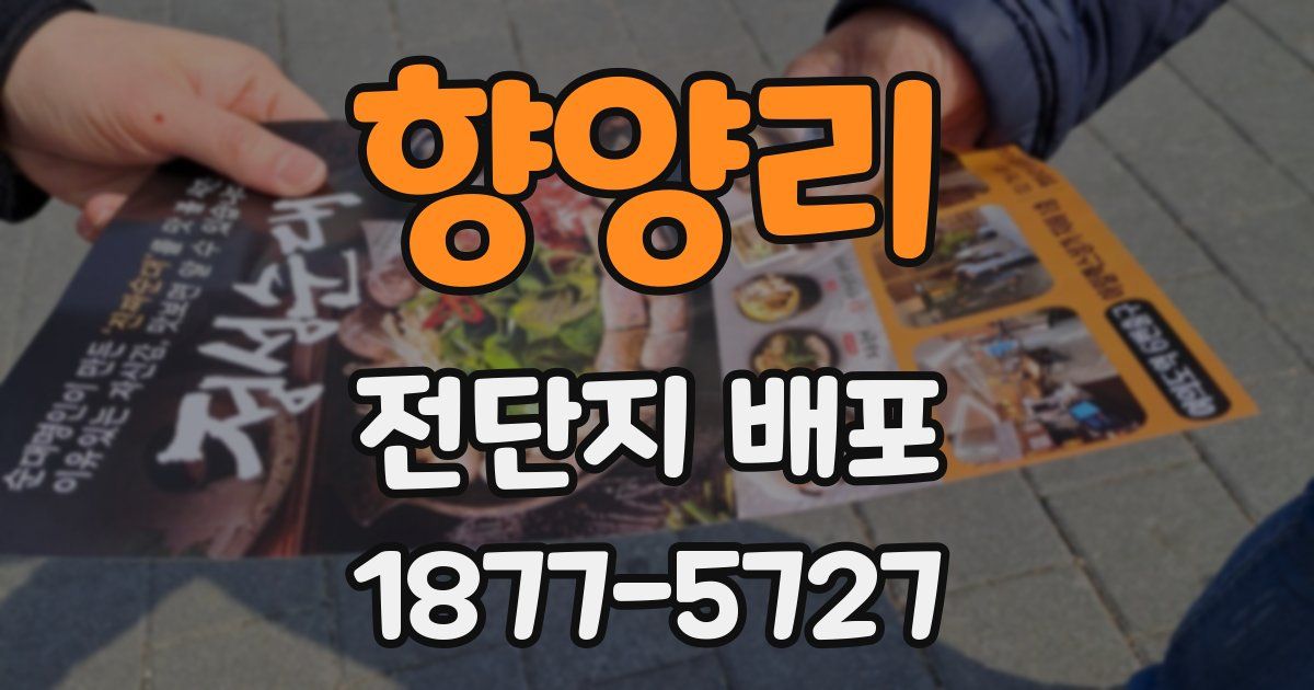 향양리 전단지 배포