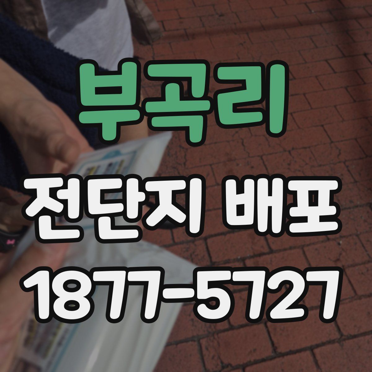 부곡리 전단지 배포