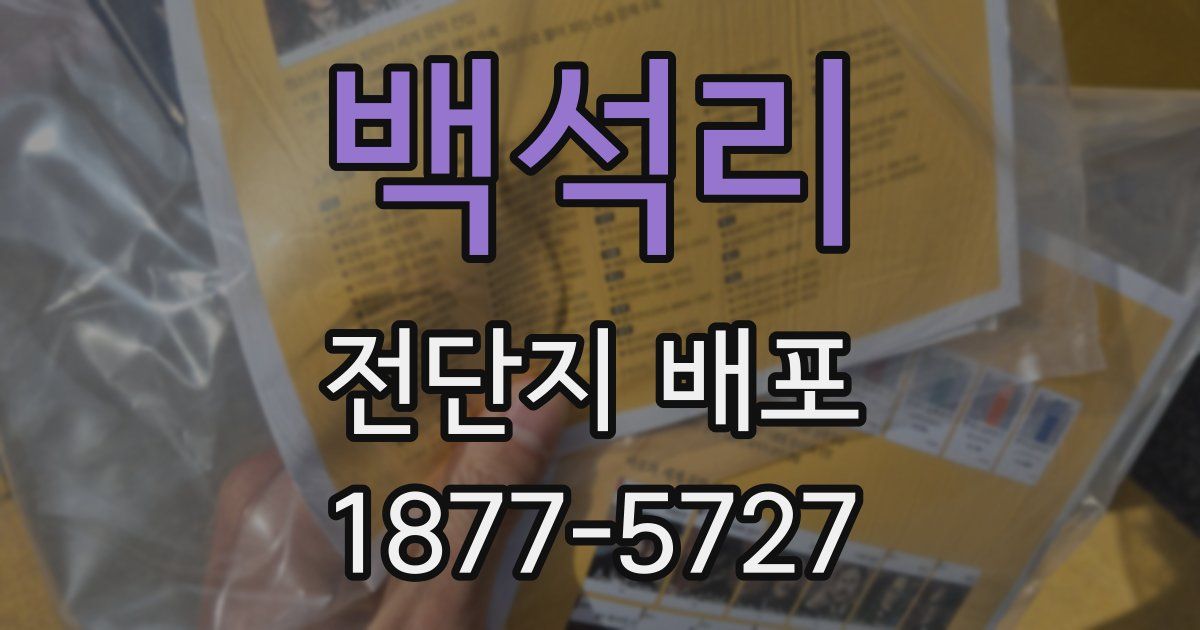 백석리 전단지 배포