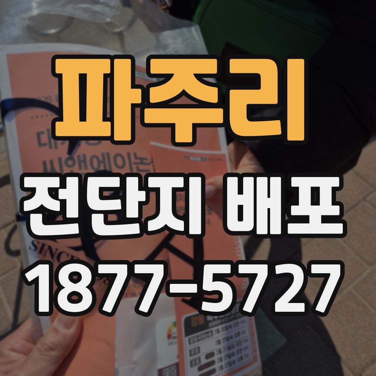 파주리 전단지 배포