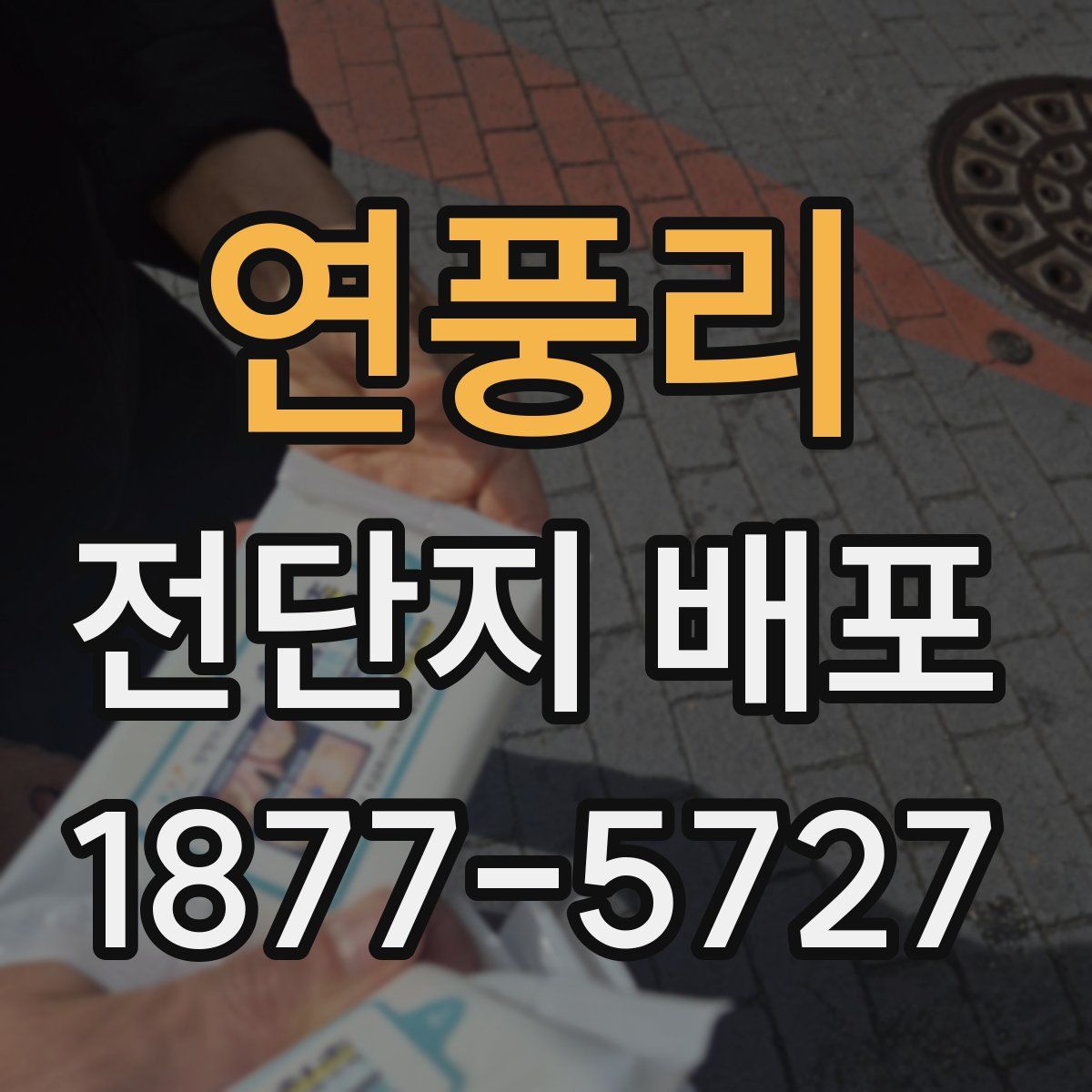 연풍리 전단지 배포