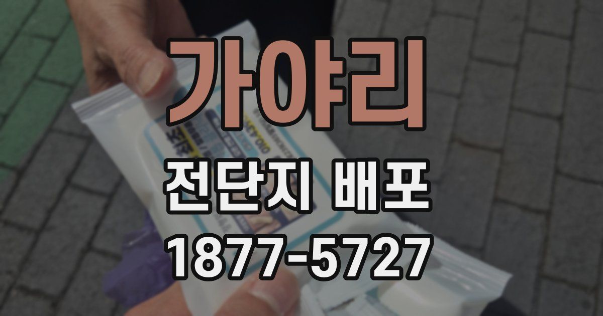 가야리 전단지 배포