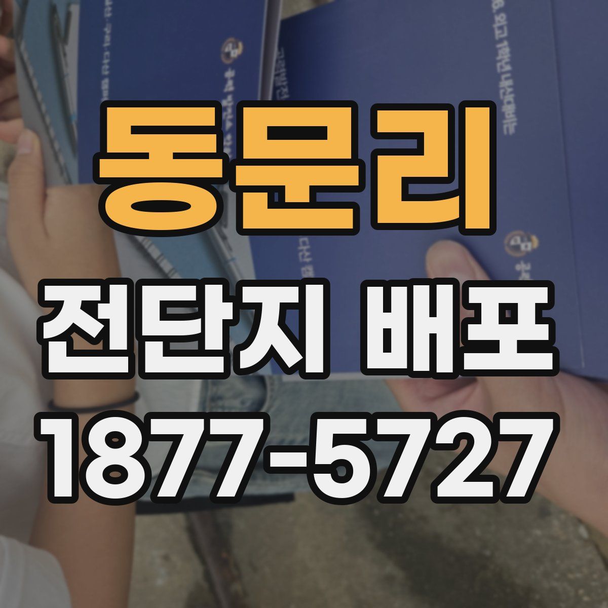 동문리 전단지 배포