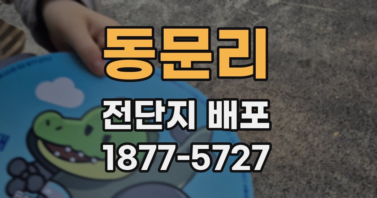 동문리 전단지 배포